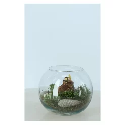 Castorama Amaryllis En Bocal 20 Cm