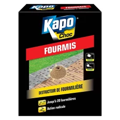 Castorama Anti Fourmis Kapo Choc 250g