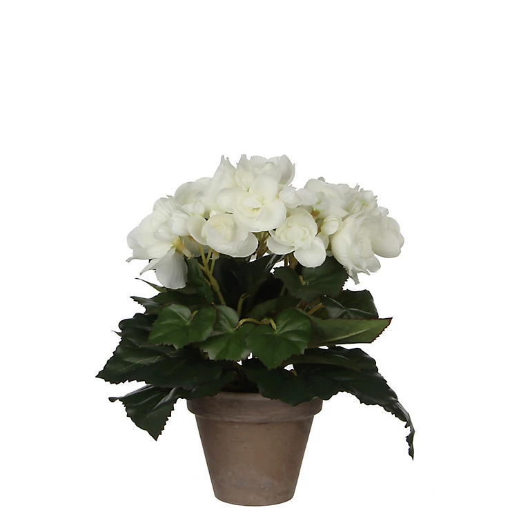 Castorama Begonia Blanc Artificiel ø20 X H.25 Cm En Pot Stan Gris ø9 Cm 3 Castorama Begonia Blanc Artificiel ø20 X H.25 Cm En Pot Stan Gris ø9 Cm