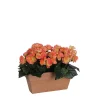 Castorama Begonia Saumon Artificiel En Jardinière Slate Terra 29 X 13 X H.25 Cm 2 Castorama Begonia Saumon Artificiel En Jardinière Slate Terra 29 X 13 X H.25 Cm -Clôture Soldes begonia saumon artificiel en jardiniere slate terra 29 x 13 x h 25 cm8712799726956 01c FR CF