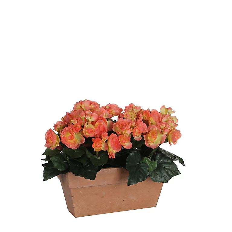Castorama Begonia Saumon Artificiel En Jardinière Slate Terra 29 X 13 X H.25 Cm 3 Castorama Begonia Saumon Artificiel En Jardinière Slate Terra 29 X 13 X H.25 Cm