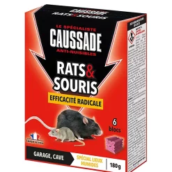 Castorama Bloc Rat Et Souris Efficacité Radicale Caussade