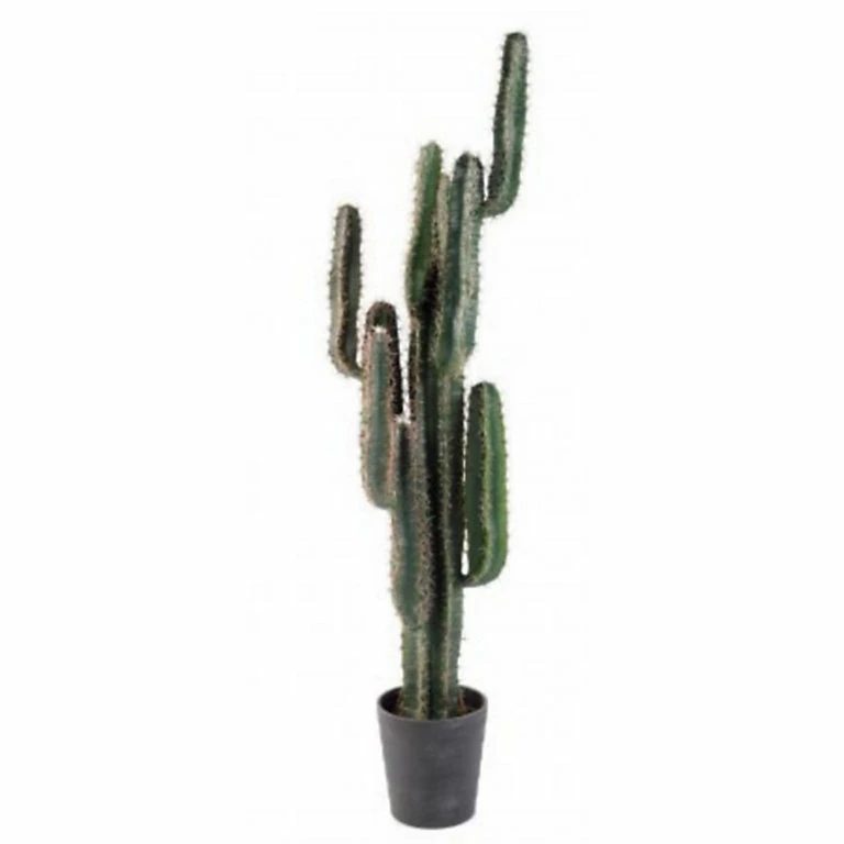 Castorama Cactus Finger Artificiel H.150 Cm 3 Castorama Cactus Finger Artificiel H.150 Cm