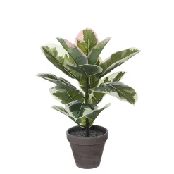 Castorama Caoutchouc Vert Panache Artificiel ø34 X H.47 Cm En Pot Stan Gris ø13,5cm