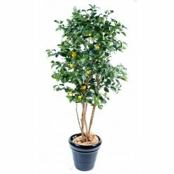 Castorama Citrus Artificiel H.140 Cm
