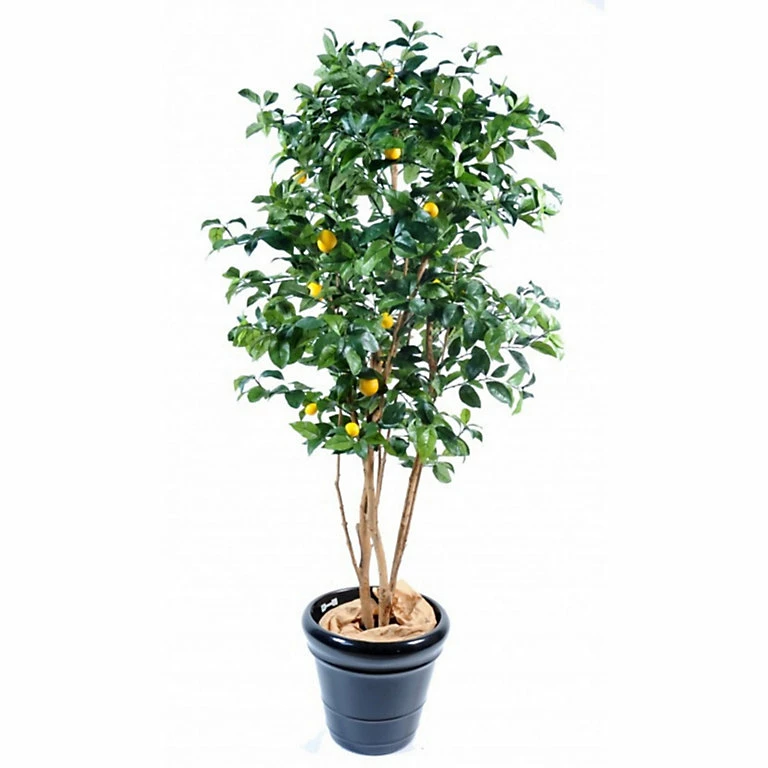 Castorama Citrus Artificiel H.140 Cm 3 Castorama Citrus Artificiel H.140 Cm