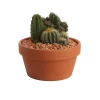 Castorama Composition De Cactus 17cm -Clôture Soldes composition de cactus 17cm5059340052915 02c
