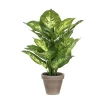 Castorama Dieffenbachia Vert Artificiel ø30 X H.40 Cm En Pot Stan Gris ø11,5 Cm 2 Castorama Dieffenbachia Vert Artificiel ø30 X H.40 Cm En Pot Stan Gris ø11,5 Cm -Clôture Soldes dieffenbachia vert artificiel 30 x h 40 cm en pot stan gris 11 5 cm8712799124684 01c FR CF