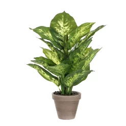 Castorama Dieffenbachia Vert Artificiel ø30 X H.40 Cm En Pot Stan Gris ø11,5 Cm