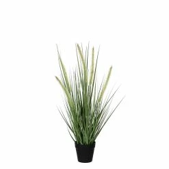 Castorama Dogtail Gras Vert Artificiel ø30 X H.53 Cm En Pot ø10 Cm