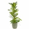 Castorama Ficus Cyathistipula 21cm Avec Cache Pot Rayures Vertes 2 Castorama Ficus Cyathistipula 21cm Avec Cache Pot Rayures Vertes -Clôture Soldes ficus cyathistipula 21cm avec cache pot rayures vertes8720053841765 01c FR CF