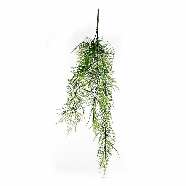 Castorama Fougère Suspendre Vert Artificiel 80 X 5 X H.5 Cm 3 Castorama Fougère Suspendre Vert Artificiel 80 X 5 X H.5 Cm