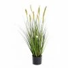 Castorama Foxtail Artificiel H.90 Cm 1 Castorama Foxtail Artificiel H.90 Cm -Clôture Soldes foxtail artificiel h 90 cm3700543508007 01c FR CF