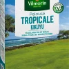 Castorama Gazon Kikuyu Vilmorin 500g 2 Castorama Gazon Kikuyu Vilmorin 500g -Clôture Soldes gazon kikuyu vilmorin 500g3182670261374 01c FR CF