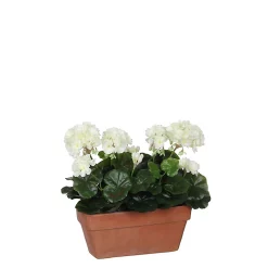 Castorama Geranium Blanc Articiciel En Jardinière Terra 29 X 13 X H.40 Cm