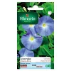 Castorama Graines D'Ipomée Grande Fleur Bleue Vilmorin 1 Castorama Graines D'Ipomée Grande Fleur Bleue Vilmorin -Clôture Soldes graines d ipomee grande fleur bleue vilmorin3211500009210 08c