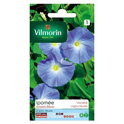 Castorama Graines D'Ipomée Grande Fleur Bleue Vilmorin 3 Castorama Graines D'Ipomée Grande Fleur Bleue Vilmorin