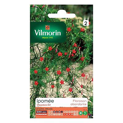 Castorama Graines D'Ipomée Quamoclit 3 Castorama Graines D'Ipomée Quamoclit