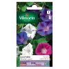 Castorama Graines D'Ipomée Volubilis Variée Vilmorin 2 Castorama Graines D'Ipomée Volubilis Variée Vilmorin -Clôture Soldes graines d ipomee volubilis variee vilmorin3211500009227 08c