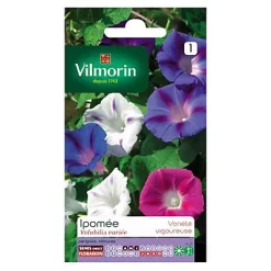 Castorama Graines D'Ipomée Volubilis Variée Vilmorin