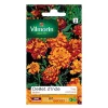 Castorama Graines D'Oeillet D'Inde Boléro Vilmorin 1 Castorama Graines D'Oeillet D'Inde Boléro Vilmorin -Clôture Soldes graines d oeillet d inde bolero vilmorin3211500010490 08c