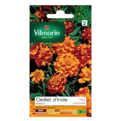 Castorama Graines D'Oeillet D'Inde Boléro Vilmorin