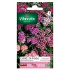 Castorama Graines D'Oeillet De Poète Hirondelle Varié Vilmorin 1 Castorama Graines D'Oeillet De Poète Hirondelle Varié Vilmorin -Clôture Soldes graines d oeillet de poete hirondelle varie vilmorin3211500009500 08c
