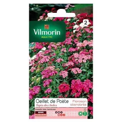 Castorama Graines D'Oeillet De Poète Tapis Des Indes Vilmorin