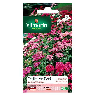 Castorama Graines D'Oeillet De Poète Tapis Des Indes Vilmorin 3 Castorama Graines D'Oeillet De Poète Tapis Des Indes Vilmorin