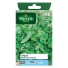 Castorama Graines D'Origan Marjolaine Vivace