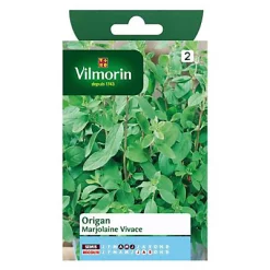 Castorama Graines D'Origan Marjolaine Vivace