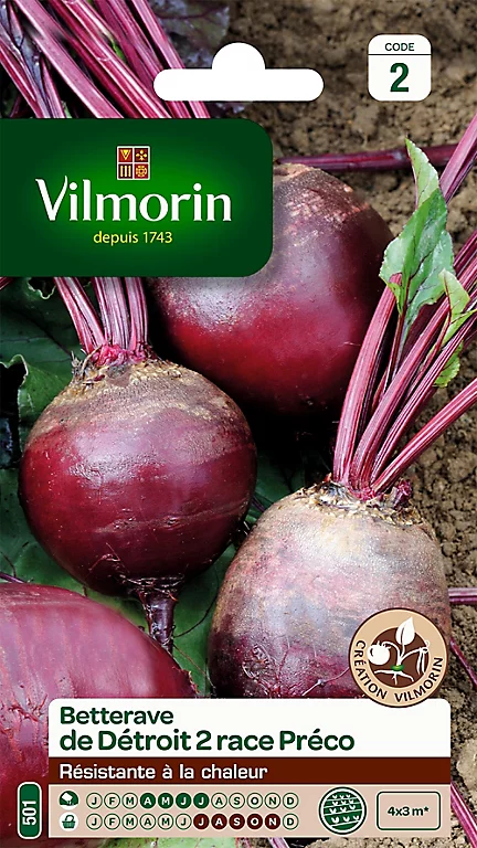 Castorama Graines De Betterave De Détroit 2 Race Préco Vilmorin 3 Castorama Graines De Betterave De Détroit 2 Race Préco Vilmorin