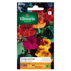 Castorama Graines De Capucine De Lobb Variée Vilmorin