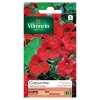 Castorama Graines De Capucine Valina Ecarlate Vilmorin -Clôture Soldes graines de capucine valina ecarlate vilmorin3211500010230 08c
