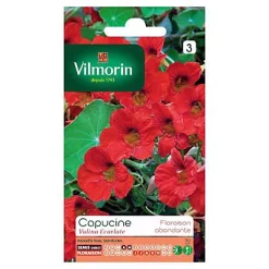 Castorama Graines De Capucine Valina Ecarlate Vilmorin