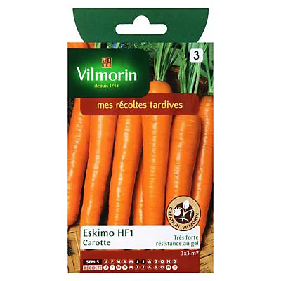Castorama Graines De Carotte Eskimo Hybride F1 3 Castorama Graines De Carotte Eskimo Hybride F1
