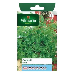 Castorama Graines De Cerfeuil Frisé
