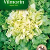 Castorama Graines De Chicorée Scarole Géante Race Salanca 1 Castorama Graines De Chicorée Scarole Géante Race Salanca -Clôture Soldes graines de chicoree scarole geante race salanca3211500007094 01c FR CF