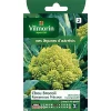 Castorama Graines De Chou Brocoli Romanesco Précoce 2 Castorama Graines De Chou Brocoli Romanesco Précoce -Clôture Soldes graines de chou brocoli romanesco precoce3182670119811 08c