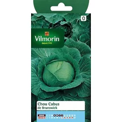 Castorama Graines De Chou Cabus De Brunswick