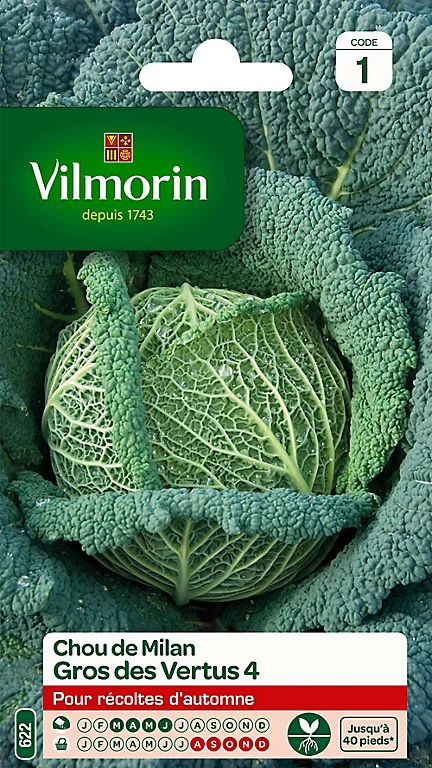 Clôture Soldes -Clôture Soldes graines de chou de milan gros des vertus3211500007285 01c FR CF