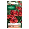 Castorama Graines De Coquelicot Simple Rouge Vilmorin 1 Castorama Graines De Coquelicot Simple Rouge Vilmorin -Clôture Soldes graines de coquelicot simple rouge vilmorin3211500009029 08c