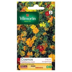 Castorama Graines De Cosmos Sulphureus Varié Vilmorin
