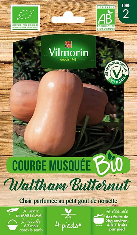 Castorama Graines De Courge Butternut Bio 3 Castorama Graines De Courge Butternut Bio