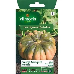 Castorama Graines De Courge Musquée D'Hiver De Provence