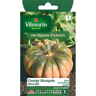 Castorama Graines De Courge Musquée D'Hiver De Provence 3 Castorama Graines De Courge Musquée D'Hiver De Provence