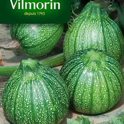 Castorama Graines De Courgette De Nice à Fruit Rond Vilmorin