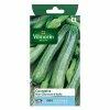 Castorama Graines De Courgette Verte Non Coureuse D' Italie -Clôture Soldes graines de courgette verte non coureuse d italie3182670164743 08c