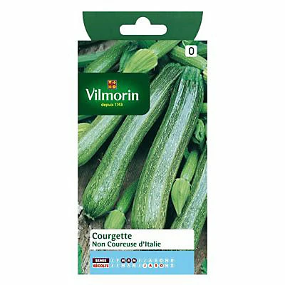 Castorama Graines De Courgette Verte Non Coureuse D' Italie 3 Castorama Graines De Courgette Verte Non Coureuse D' Italie