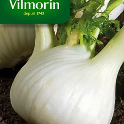 Castorama Graines De Fenouil Doux De Florence Vilmorin